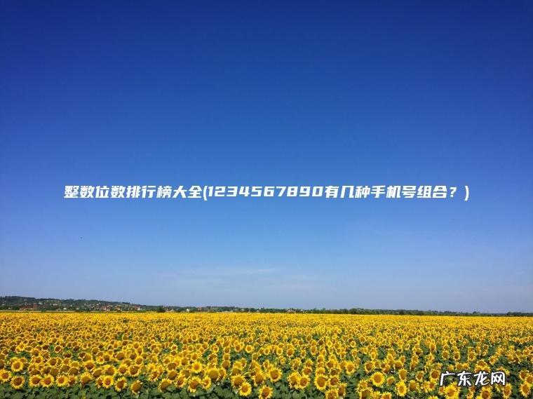 1234567890有几种手机号组合？ 整数位数排行榜大全