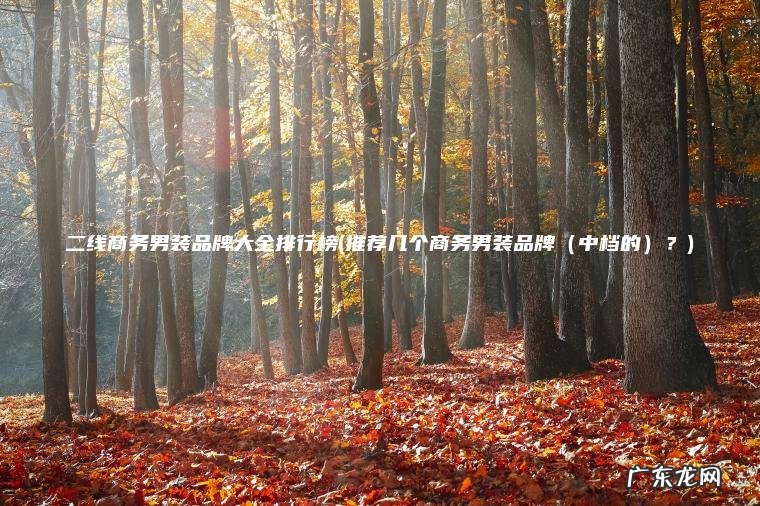 二线商务男装品牌大全排行榜(推荐几个商务男装品牌(中档的)?) 推荐几个商务男装品牌? 中档的 二线商务男装品牌大全排行榜