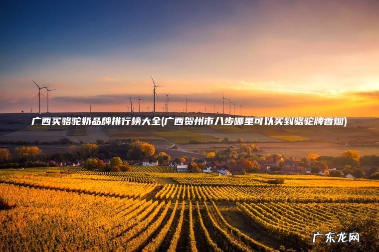 广西买骆驼奶品牌排行榜大全(广西贺州市八步哪里可以买到骆驼牌香烟) 广西贺州市八步哪里可以买到骆驼牌香烟 广西买骆驼奶品牌排行榜大全