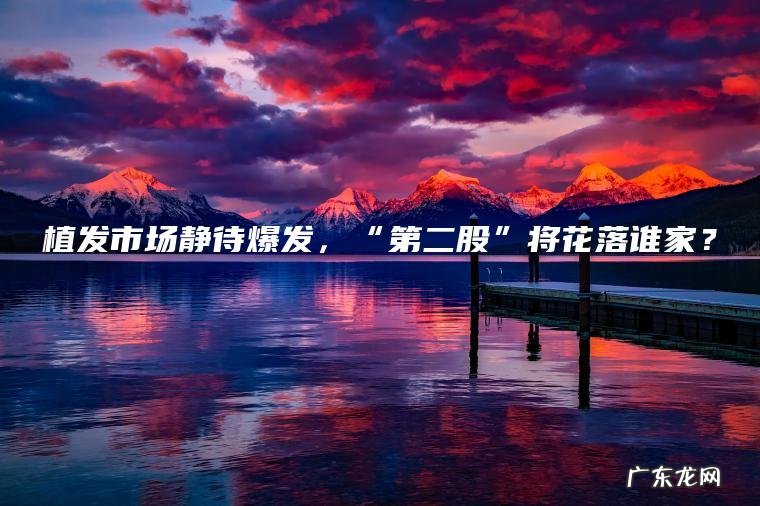 植发市场静待爆发 , “第二股”将花落谁家? 植发市场静待爆发,“第二股”将花落谁家?