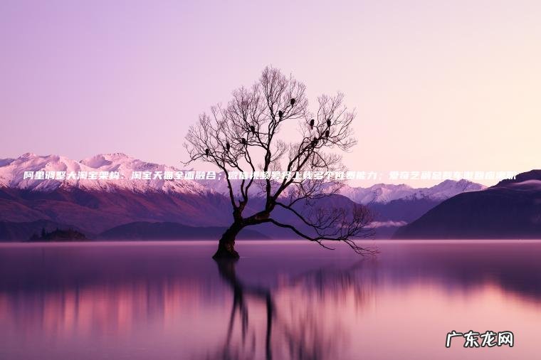 阿里调整大淘宝架构:淘宝天猫全面融合;微信视频号将上线多个付费能力;爱奇艺副总裁车澈回应离职 阿里调整大淘宝架构:淘宝天猫全面融合;微信视频号将上线多个付费能力;爱奇艺副总裁车澈回应离职