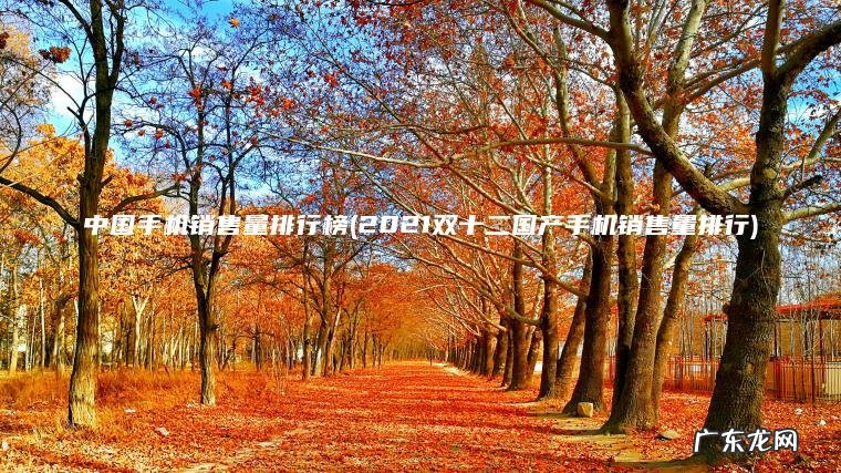 中国手机销售量排行榜(2021双十二国产手机销售量排行) 2021双十二国产手机销售量排行 中国手机销售量排行榜