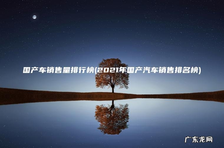 2021年国产汽车销售排名榜 国产车销售量排行榜