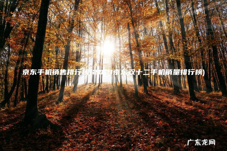 京东手机销售排行榜(2021京东双十二手机销量排行榜) 2021京东双十二手机销量排行榜 京东手机销售排行榜
