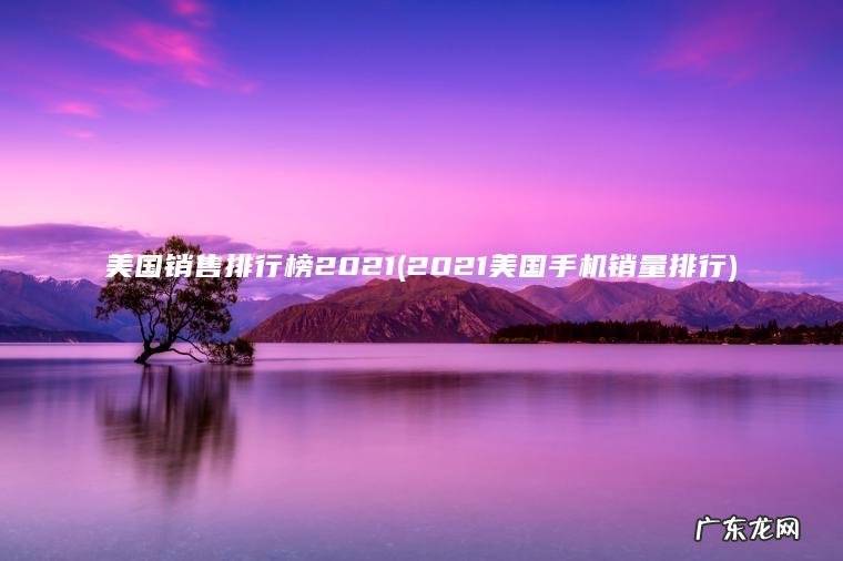 美国销售排行榜2021(2021美国手机销量排行)
