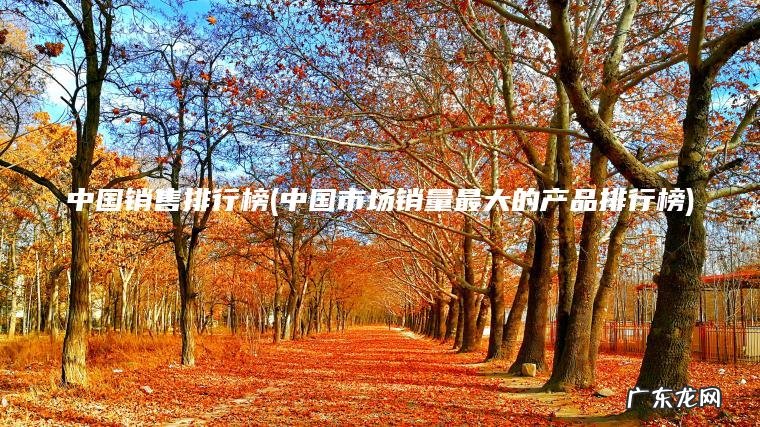 中国市场销量最大的产品排行榜 中国销售排行榜