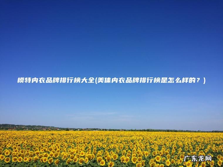 模特内衣品牌排行榜大全(美体内衣品牌排行榜是怎么样的?) 美体内衣品牌排行榜是怎么样的? 模特内衣品牌排行榜大全