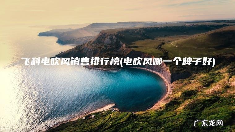 电吹风哪一个牌子好 飞科电吹风销售排行榜
