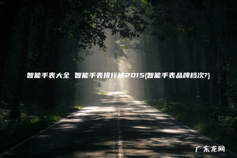 智能手表品牌档次? 智能手表大全 智能手表排行榜2015