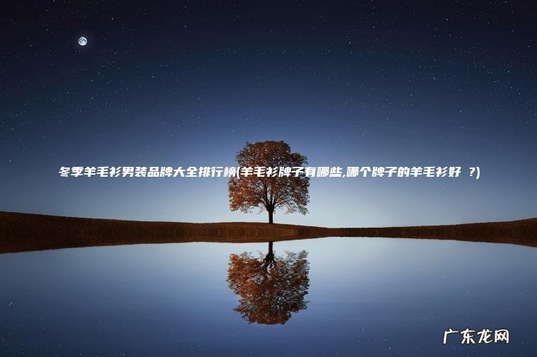 冬季羊毛衫男装品牌大全排行榜(羊毛衫牌子有哪些,哪个牌子的羊毛衫好 ?) 羊毛衫牌子有哪些,哪个牌子的羊毛衫好 ? 冬季羊毛衫男装品牌大全排行榜