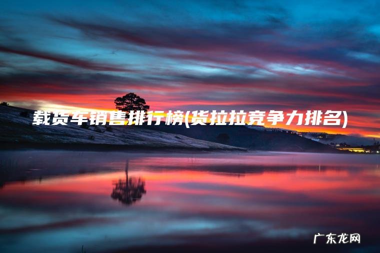 载货车销售排行榜(货拉拉竞争力排名) 货拉拉竞争力排名 载货车销售排行榜
