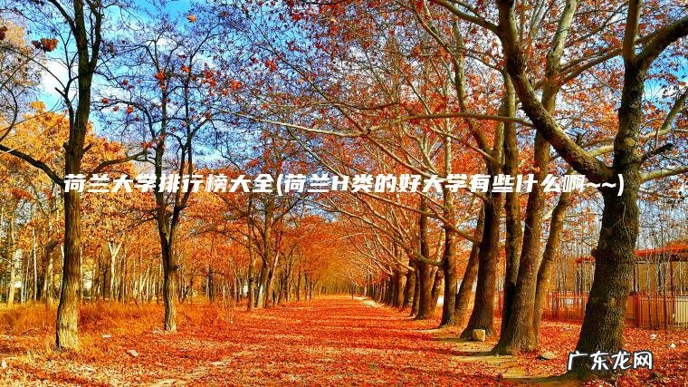 荷兰大学排行榜大全(荷兰H类的好大学有些什么啊~~)