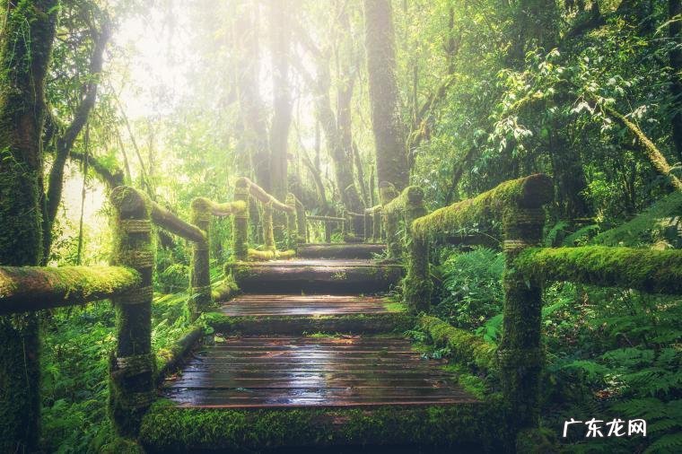 国内气化炉排名 液化气灶销售排行榜