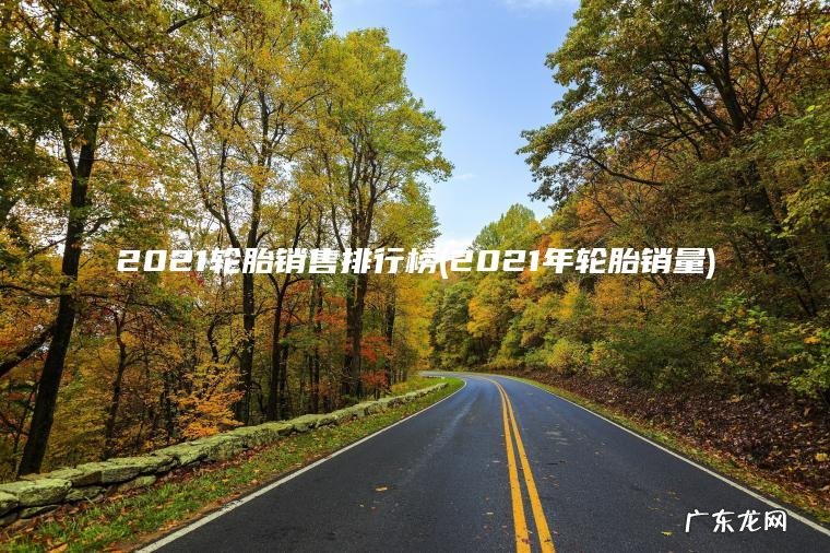 2021年轮胎销量 2021轮胎销售排行榜