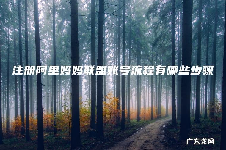 注册阿里妈妈联盟账号流程有哪些步骤