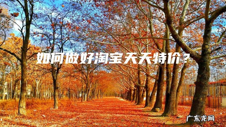 如何做好淘宝天天特价? 如何做好淘宝天天特价?