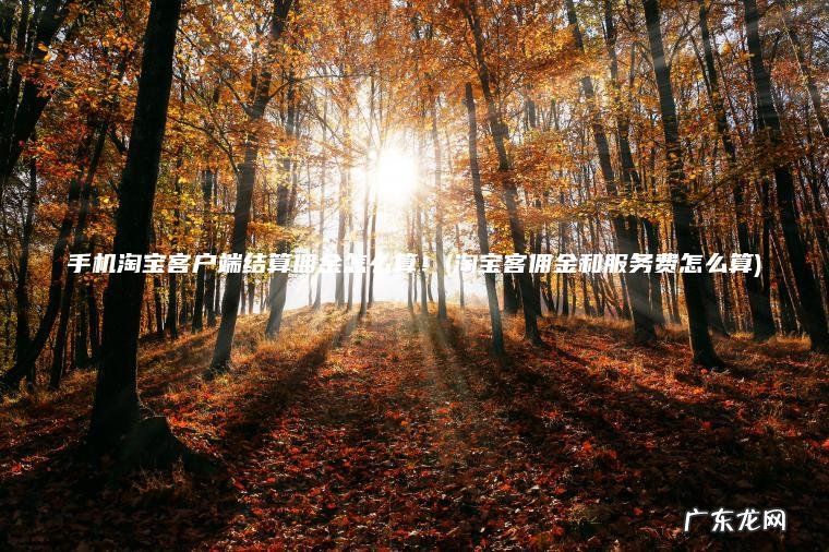 手机淘宝客户端结算佣金怎么算!(淘宝客佣金和服务费怎么算) 淘宝客佣金和服务费怎么算 手机淘宝客户端结算佣金怎么算!