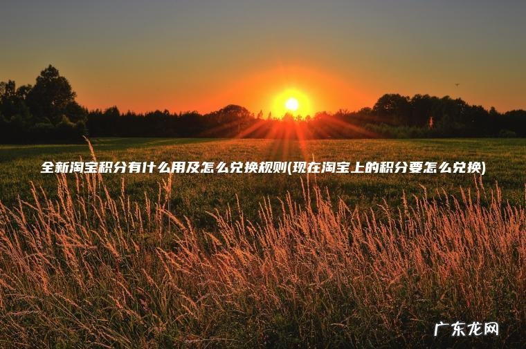 全新淘宝积分有什么用及怎么兑换规则(现在淘宝上的积分要怎么兑换) 现在淘宝上的积分要怎么兑换 全新淘宝积分有什么用及怎么兑换规则