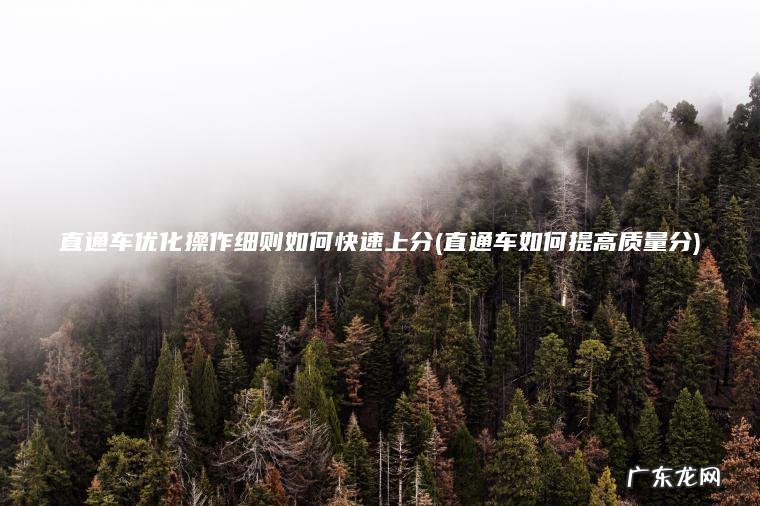 直通车如何提高质量分 直通车优化操作细则如何快速上分