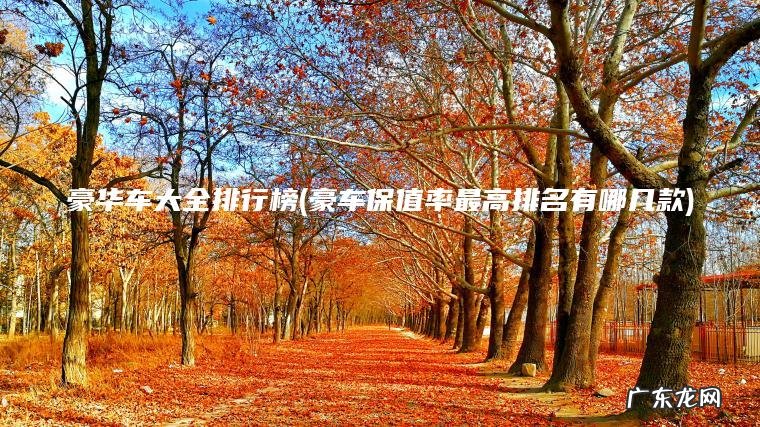 豪华车大全排行榜(豪车保值率最高排名有哪几款) 豪车保值率最高排名有哪几款 豪华车大全排行榜