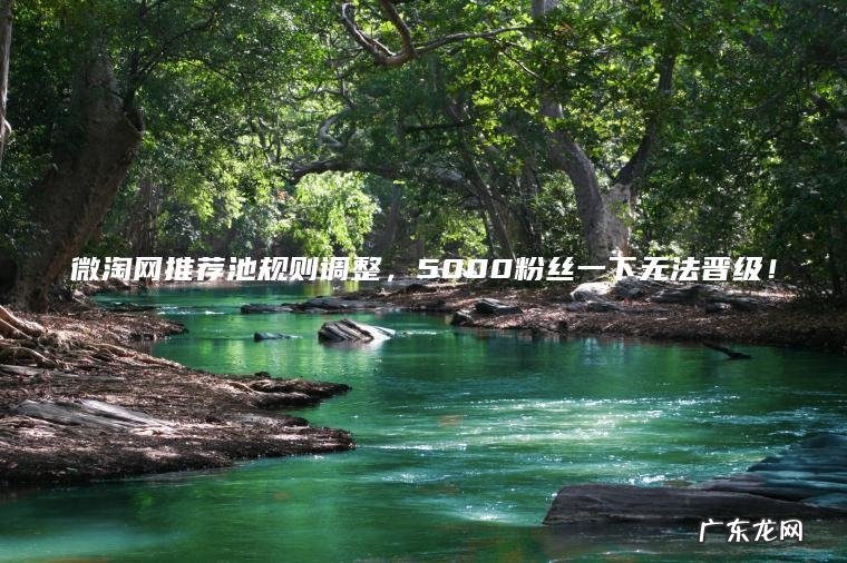 微淘网推荐池规则调整 , 5000粉丝一下无法晋级! 微淘网推荐池规则调整,5000粉丝一下无法晋级!