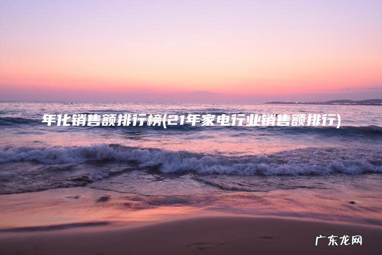 年化销售额排行榜(21年家电行业销售额排行) 21年家电行业销售额排行 年化销售额排行榜