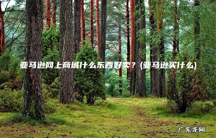 亚马逊网上商城什么东西好卖?(亚马逊买什么) 亚马逊买什么 亚马逊网上商城什么东西好卖?