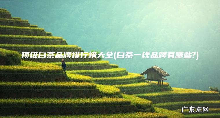 白茶一线品牌有哪些? 顶级白茶品牌排行榜大全