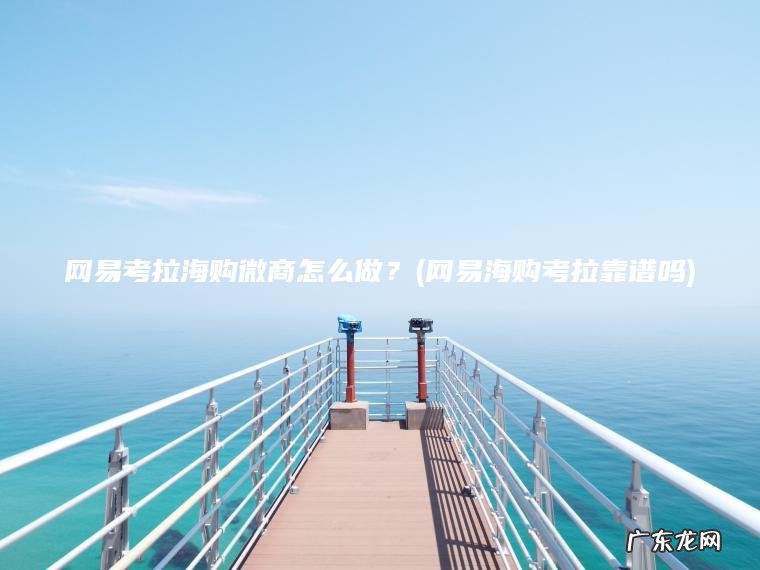 网易考拉海购微商怎么做?(网易海购考拉靠谱吗) 网易海购考拉靠谱吗 网易考拉海购微商怎么做?
