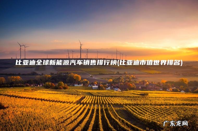 比亚迪市值世界排名 比亚迪全球新能源汽车销售排行榜