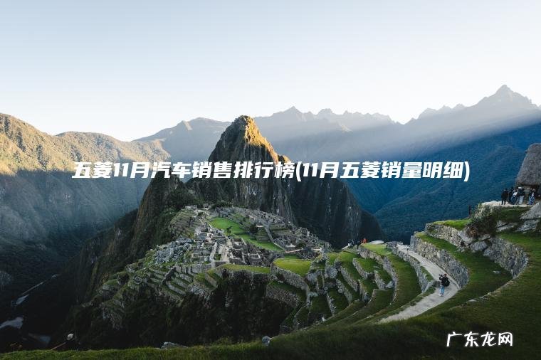 五菱11月汽车销售排行榜(11月五菱销量明细)