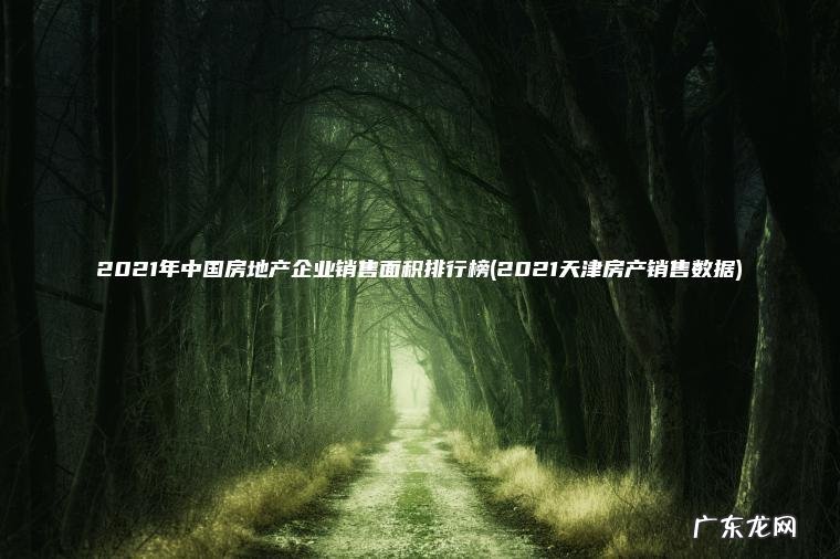 2021天津房产销售数据 2021年中国房地产企业销售面积排行榜