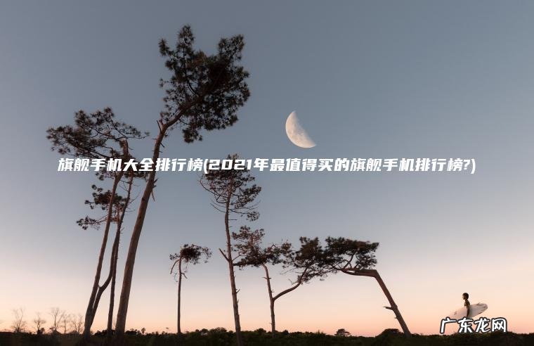 旗舰手机大全排行榜(2021年最值得买的旗舰手机排行榜?)