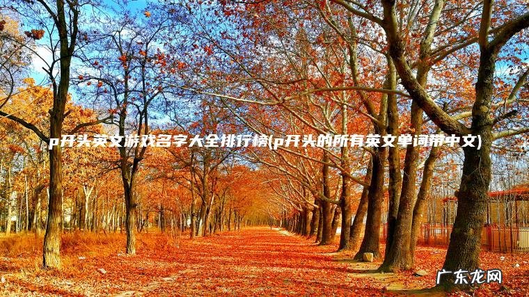 p开头的所有英文单词带中文 p开头英文游戏名字大全排行榜