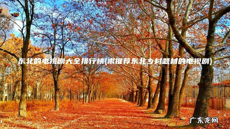 东北的电视剧大全排行榜(求推荐东北乡村题材的电视剧) 求推荐东北乡村题材的电视剧 东北的电视剧大全排行榜