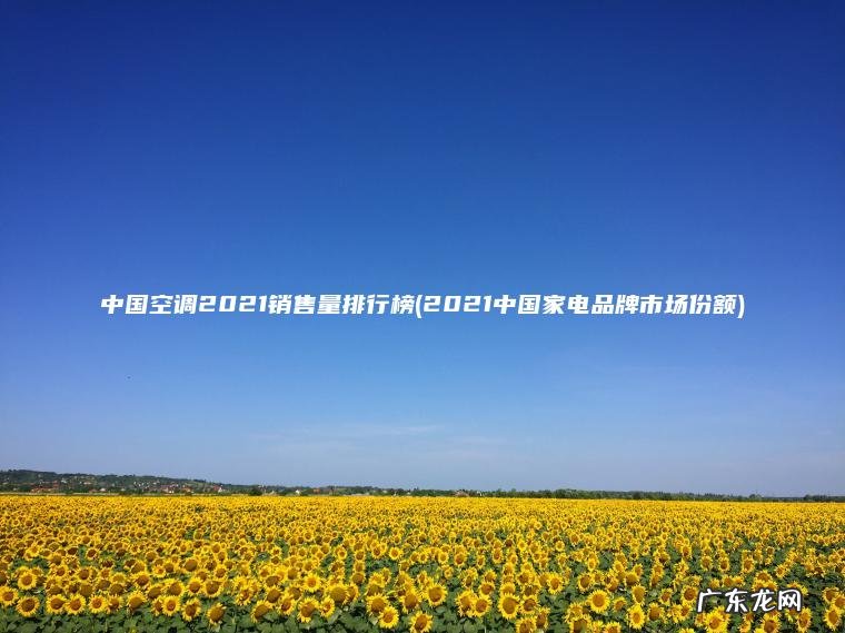 2021中国家电品牌市场份额 中国空调2021销售量排行榜