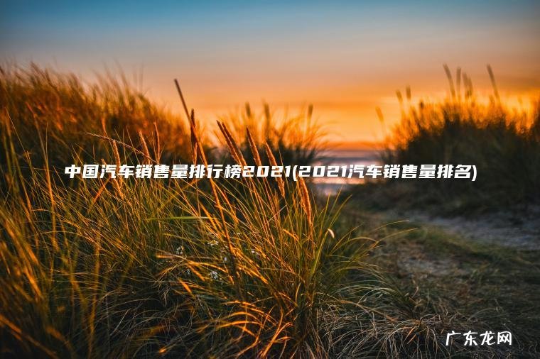 中国汽车销售量排行榜2021(2021汽车销售量排名)