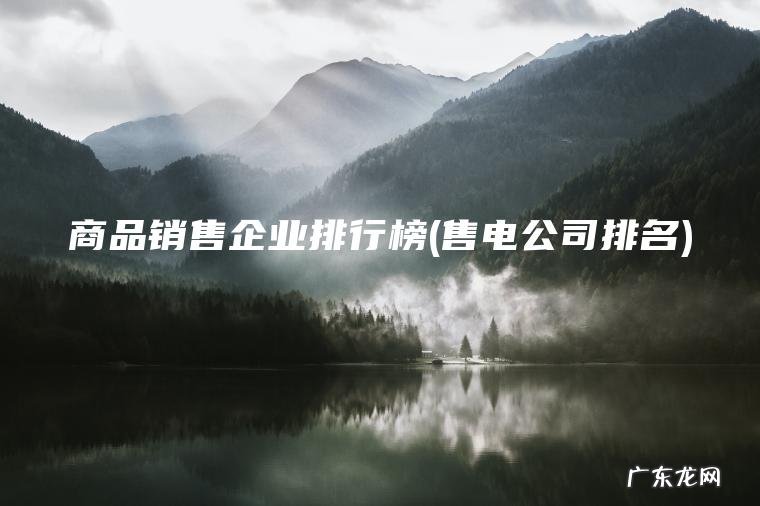 售电公司排名 商品销售企业排行榜