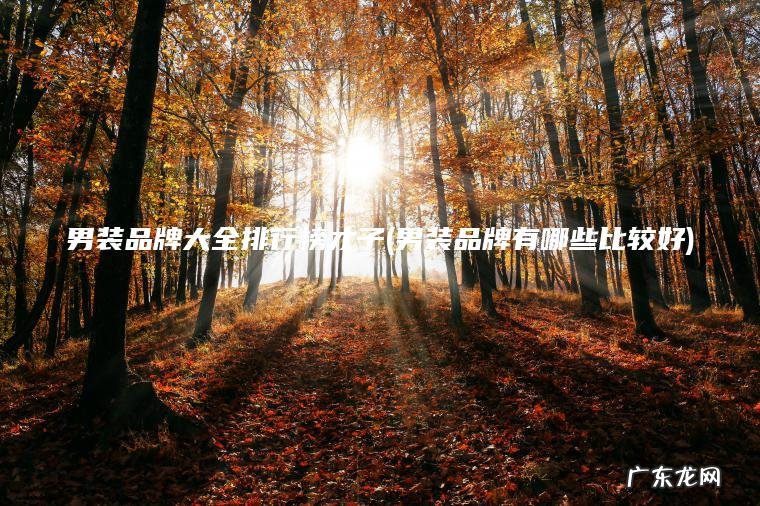 男装品牌有哪些比较好 男装品牌大全排行榜才子