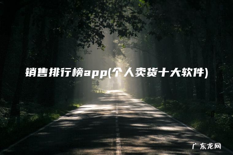 个人卖货十大软件 销售排行榜app