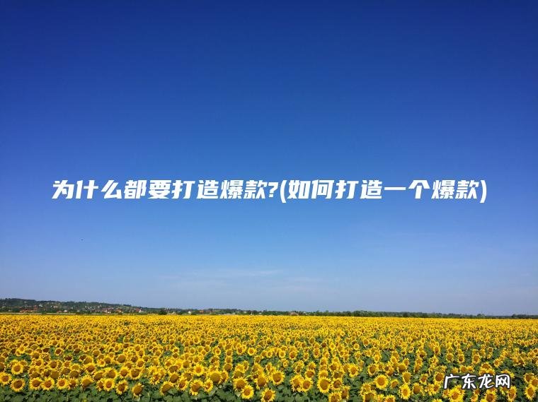 如何打造一个爆款 为什么都要打造爆款?