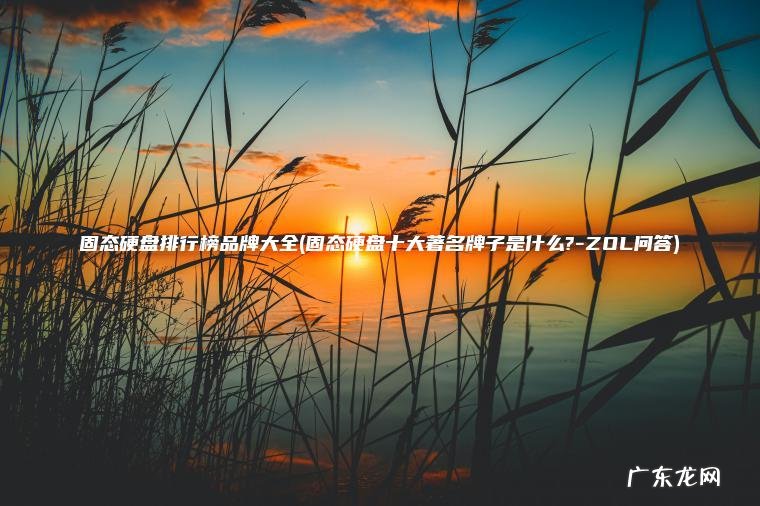 固态硬盘排行榜品牌大全(固态硬盘十大著名牌子是什么?-ZOL问答)