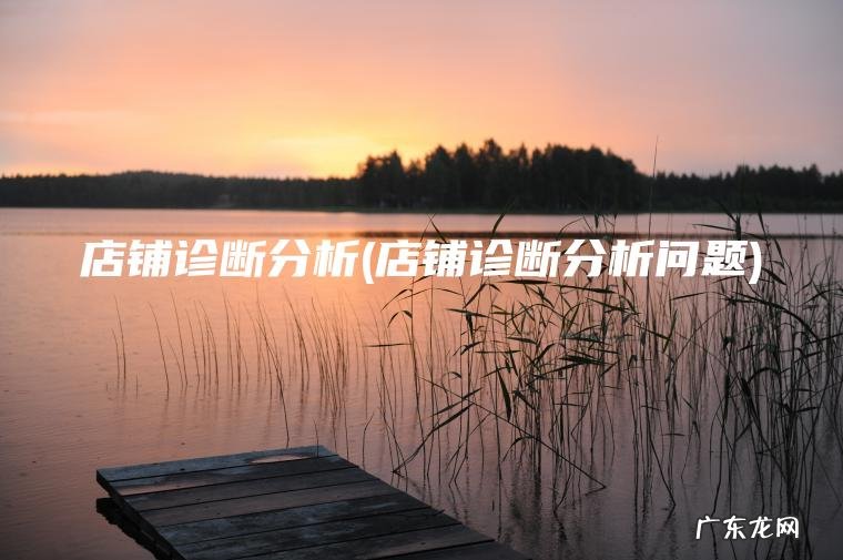 店铺诊断分析(店铺诊断分析问题) 店铺诊断分析问题 店铺诊断分析