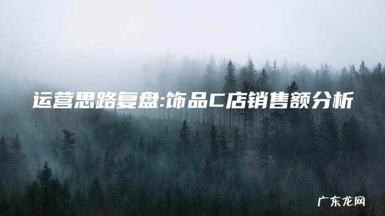 运营思路复盘:饰品C店销售额分析 运营思路复盘:饰品C店销售额分析