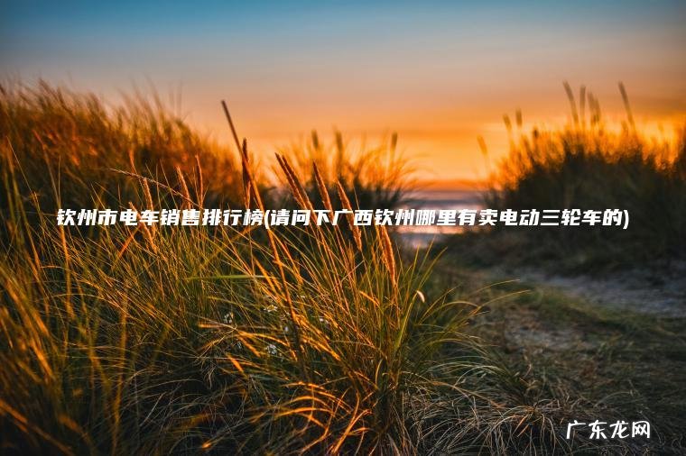 钦州市电车销售排行榜(请问下广西钦州哪里有卖电动三轮车的) 请问下广西钦州哪里有卖电动三轮车的 钦州市电车销售排行榜