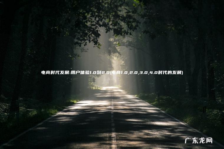 电商1.0,2.0,3.0,4.0时代的发展 电商时代发展:用户体验1.0到2.0