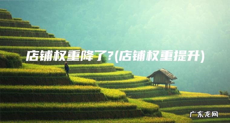 店铺权重提升 店铺权重降了?