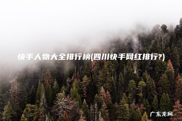 四川快手网红排行? 快手人物大全排行榜