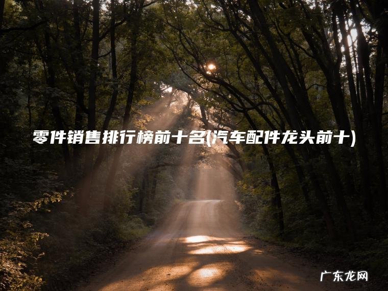 汽车配件龙头前十 零件销售排行榜前十名
