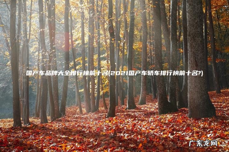 国产车品牌大全排行榜前十名(2021国产车轿车排行榜前十名?) 2021国产车轿车排行榜前十名? 国产车品牌大全排行榜前十名
